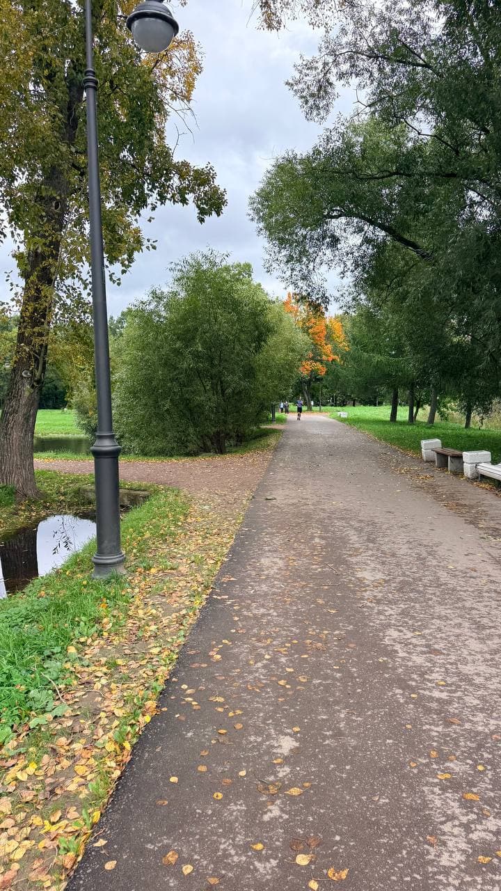 Post 19048